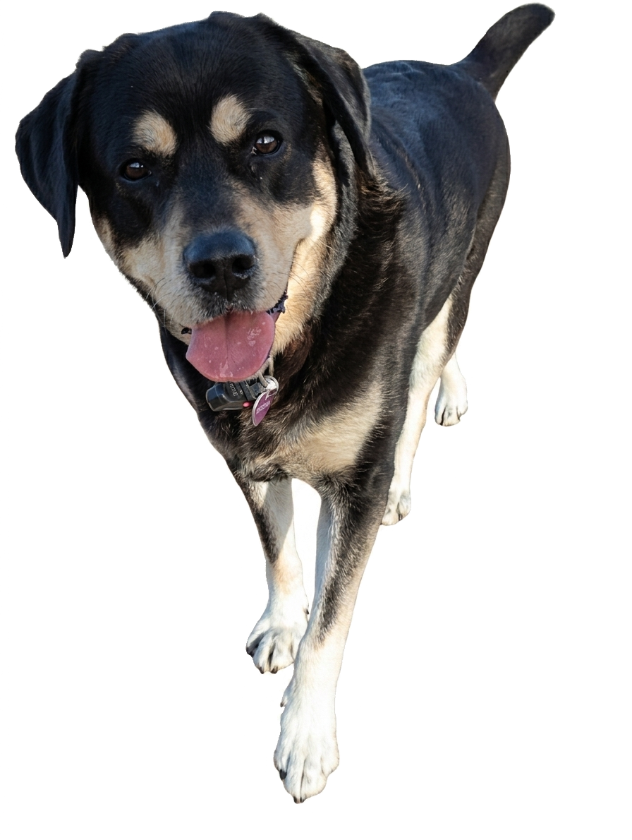 Dora_2